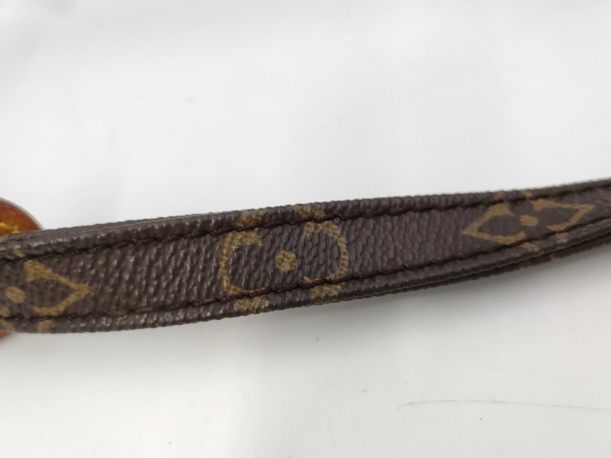 LOUIS VUITTON Monogram M45266 Danube Shoulder Bag