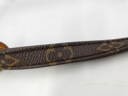 LOUIS VUITTON Monogram M45266 Danube Shoulder Bag