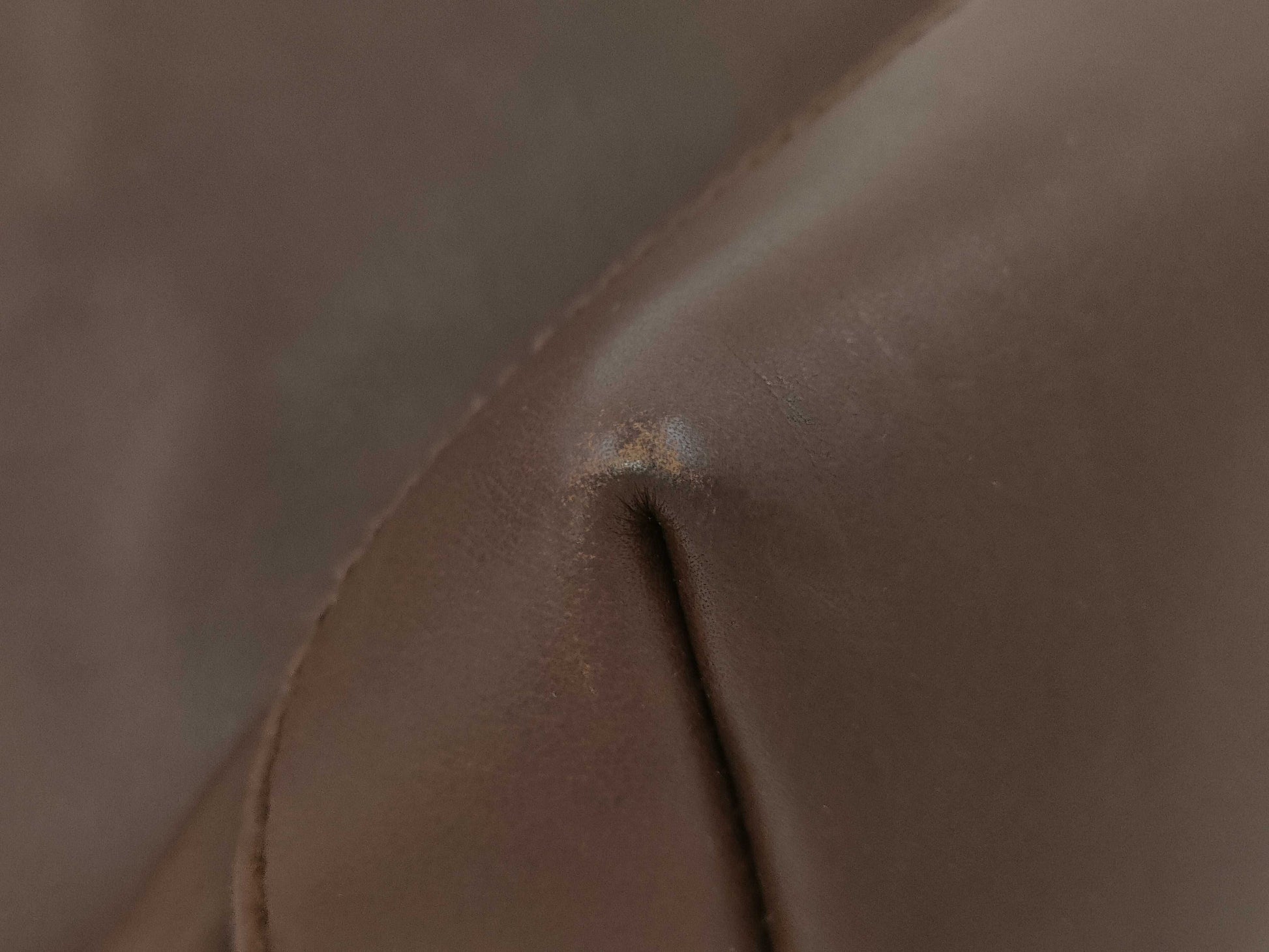 COACH 10561/Signature Coach*2 Bag