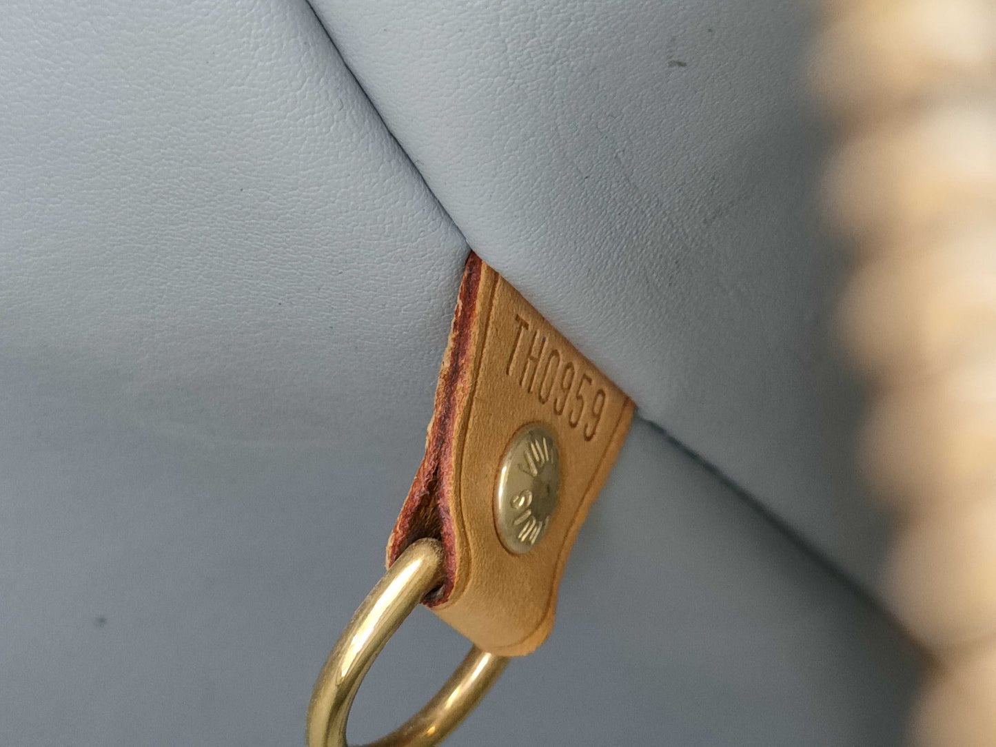 LOUIS VUITTON Vernis Houston Handbag