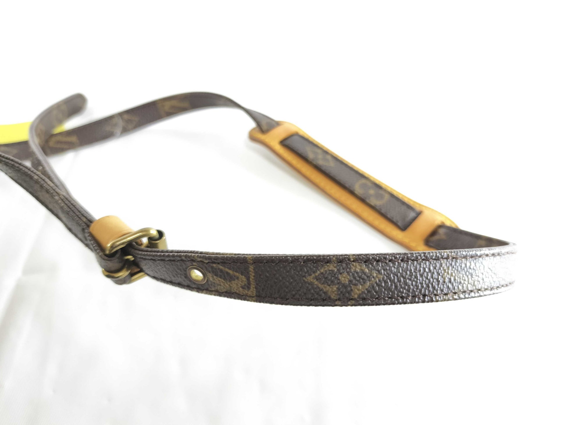 LOUIS VUITTON Monogram M45236 Amazon Shoulder Bag