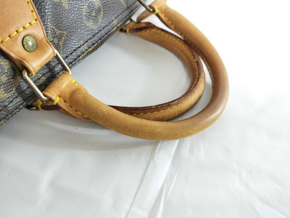 LOUIS VUITTON Monogram Speedy 30 Handbag