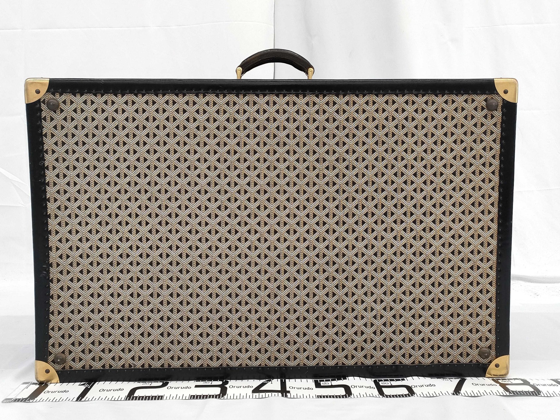GOYARD Trunk Case Vintage Bag
