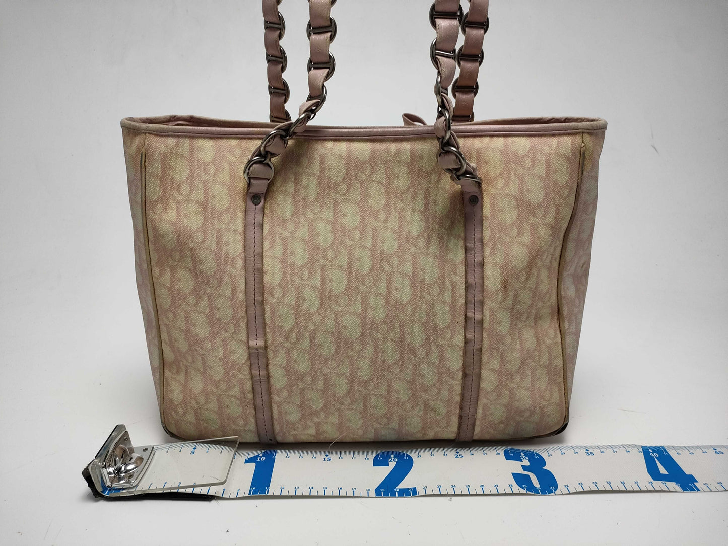 GUCCI Dior Canvas Set Tote Bag