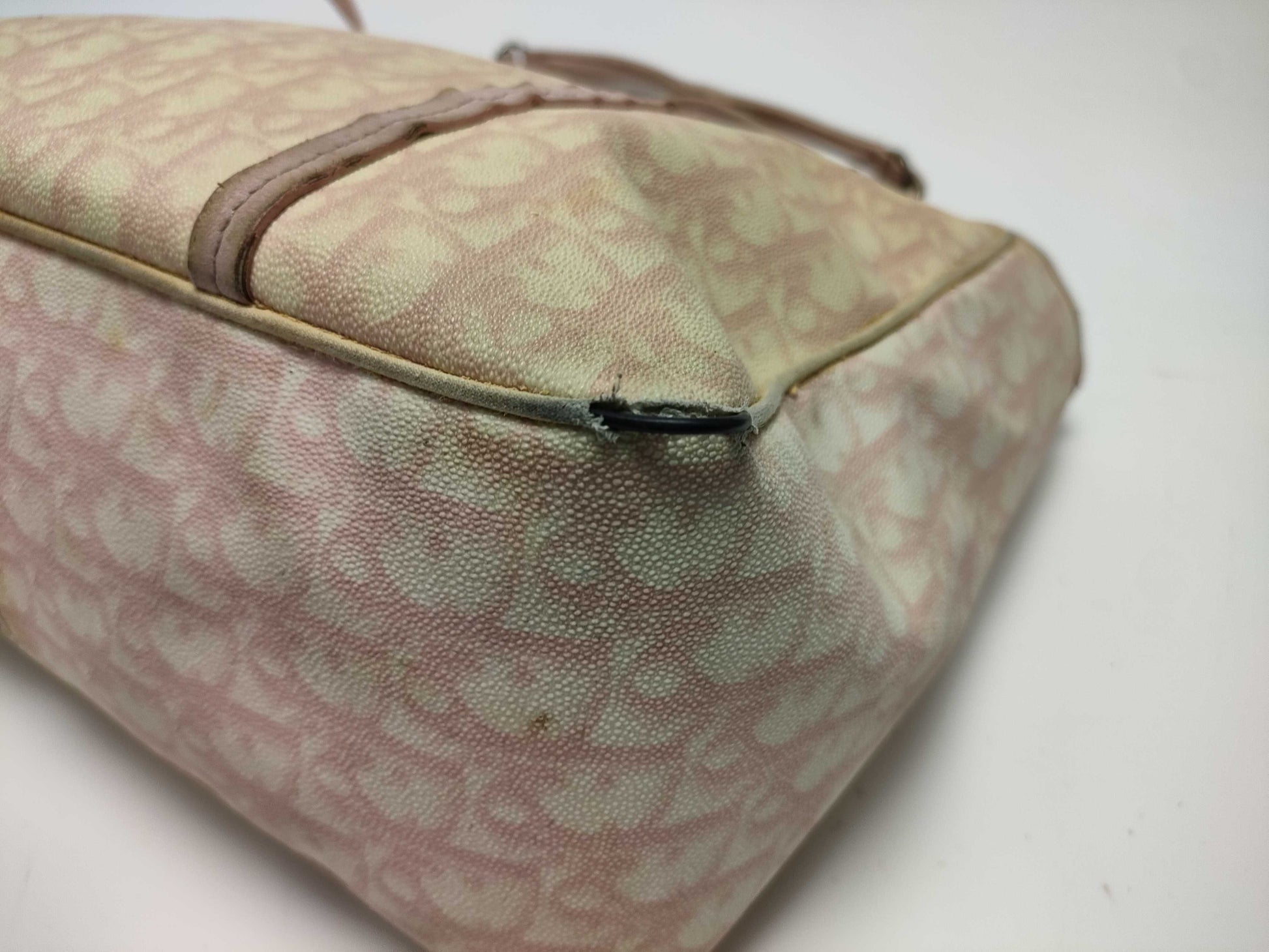 GUCCI Dior Canvas Set Tote Bag