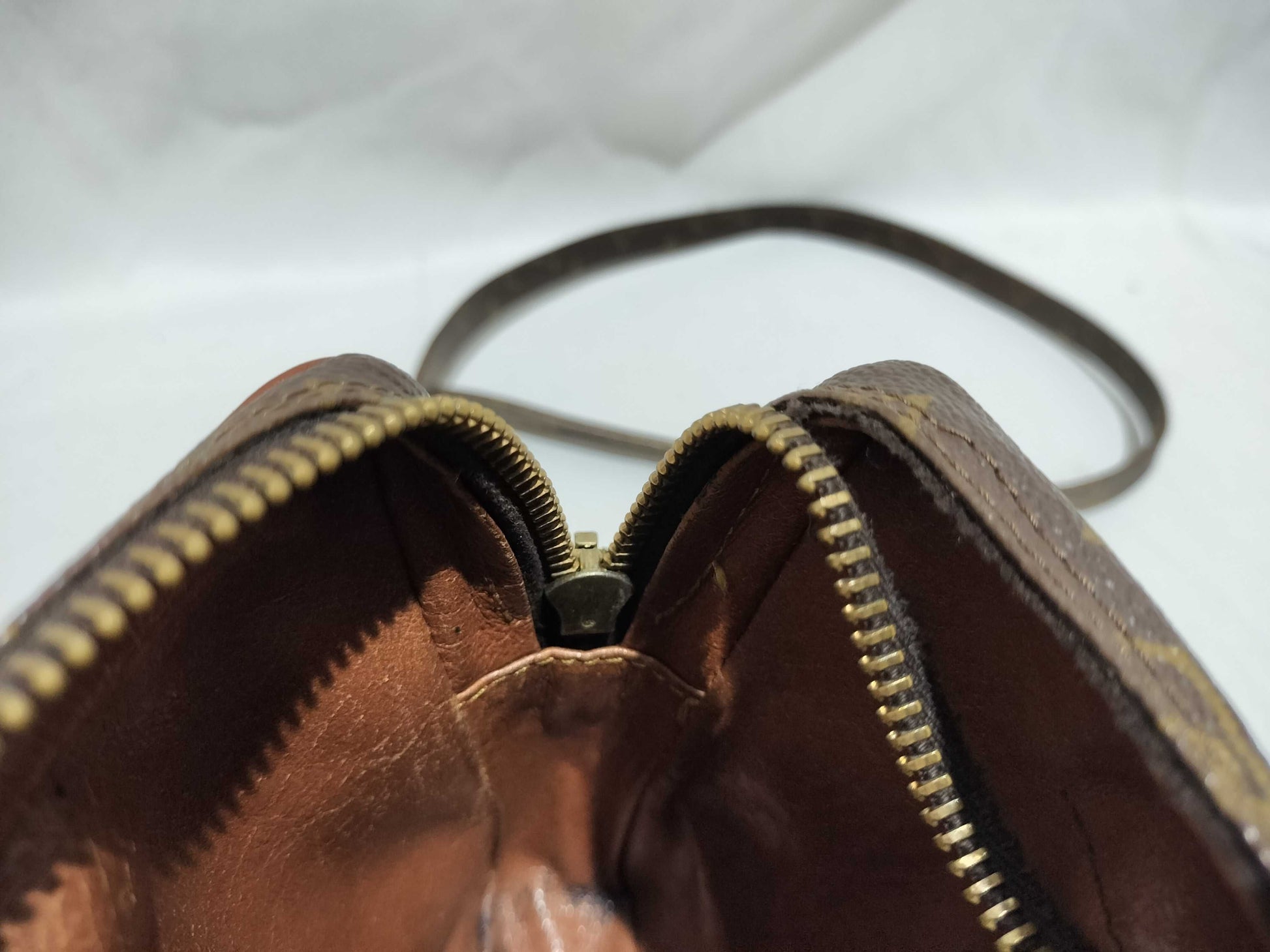 LOUIS VUITTON Monogram Danube Mini Shoulder Bag