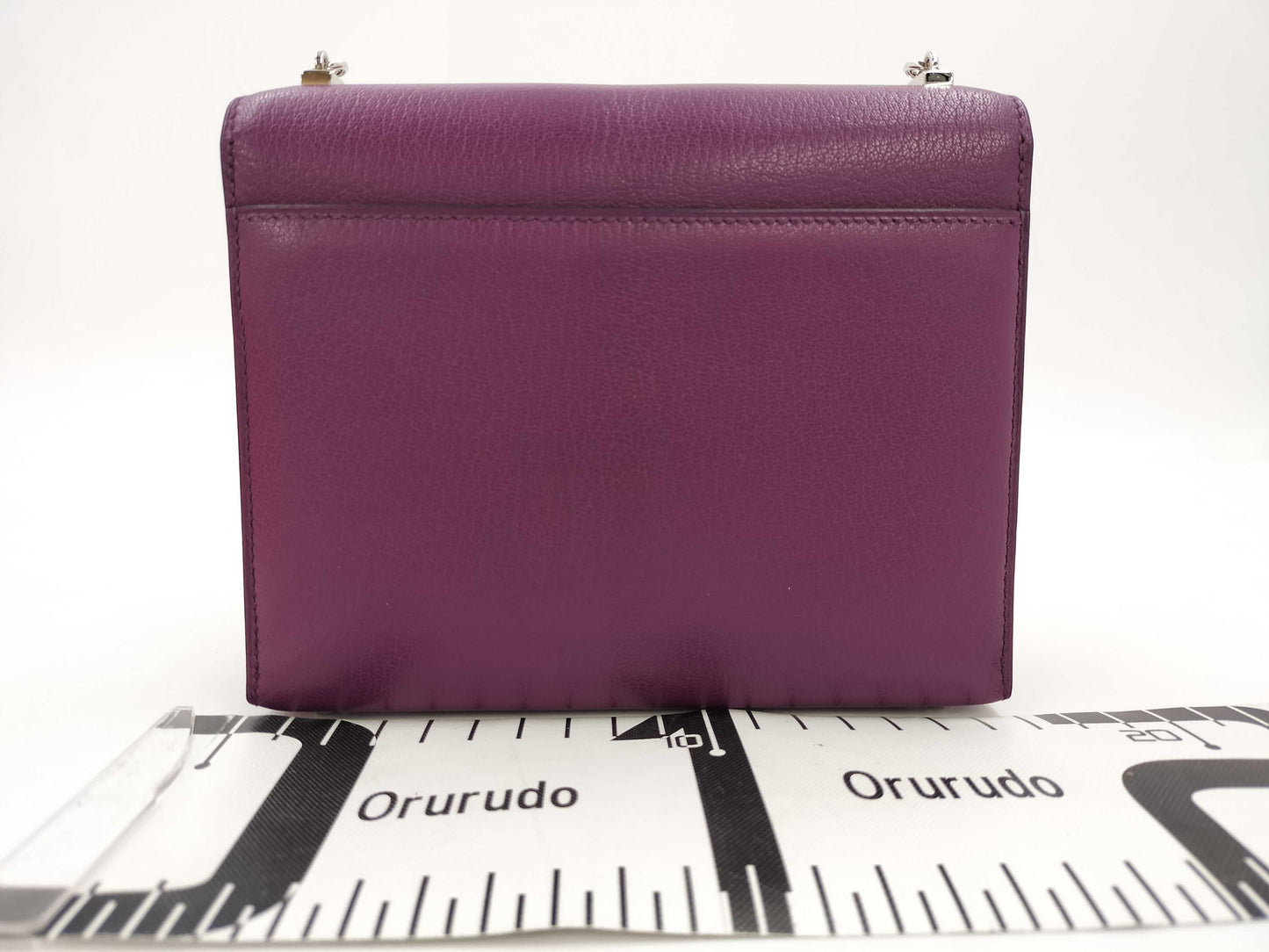HERMES Veru Anemone Silver Hardware D Engraved Shoulder Bag