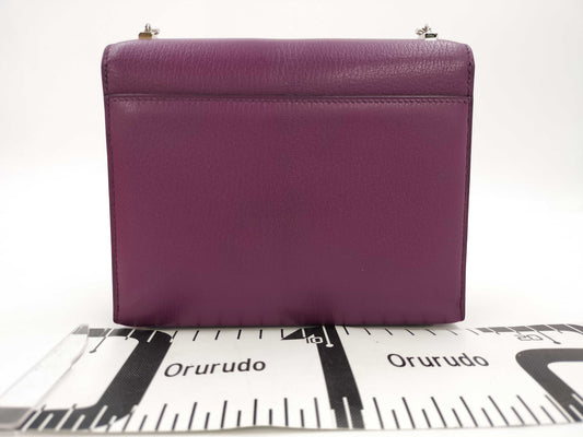 HERMES Veru Anemone Silver Hardware D Engraved Shoulder Bag