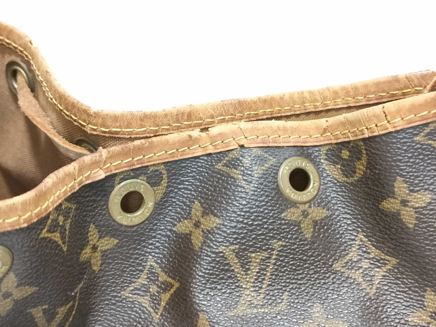 LOUIS VUITTON Monogram Noe Painted Shoulder Bag