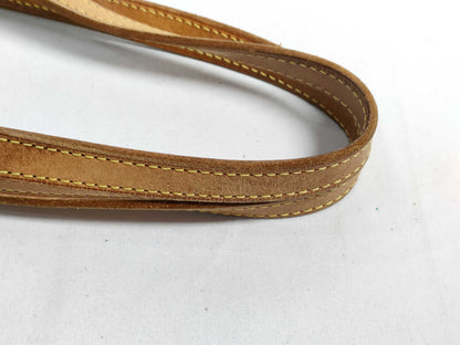LOUIS VUITTON Monogram Petit Bucket PM Tote Bag 