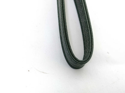 LOUIS VUITTON Taiga Episea Green Handbag