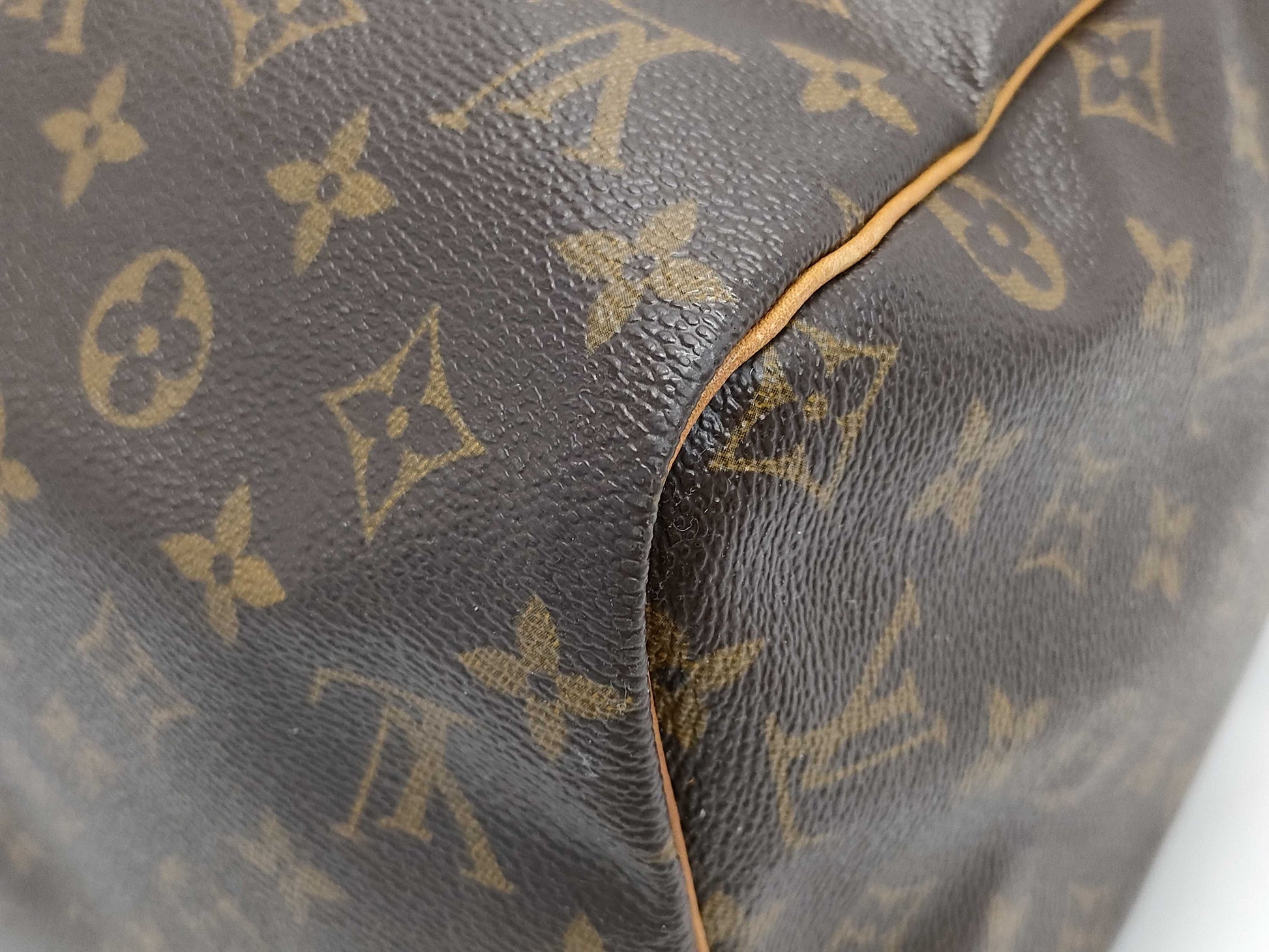 LOUIS VUITTON Monogram Old Speedy 30 Blue Rust Handbag