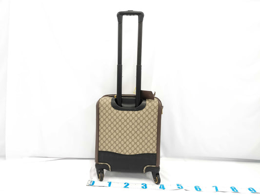 GUCCI GG Carry Bag
