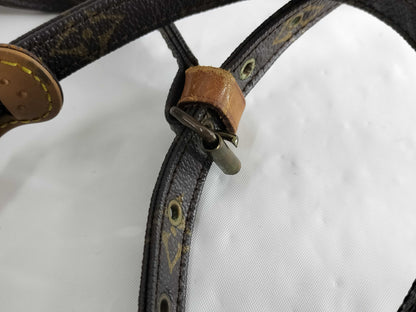 LOUIS VUITTON Monogram M45266 Danube Shoulder Bag