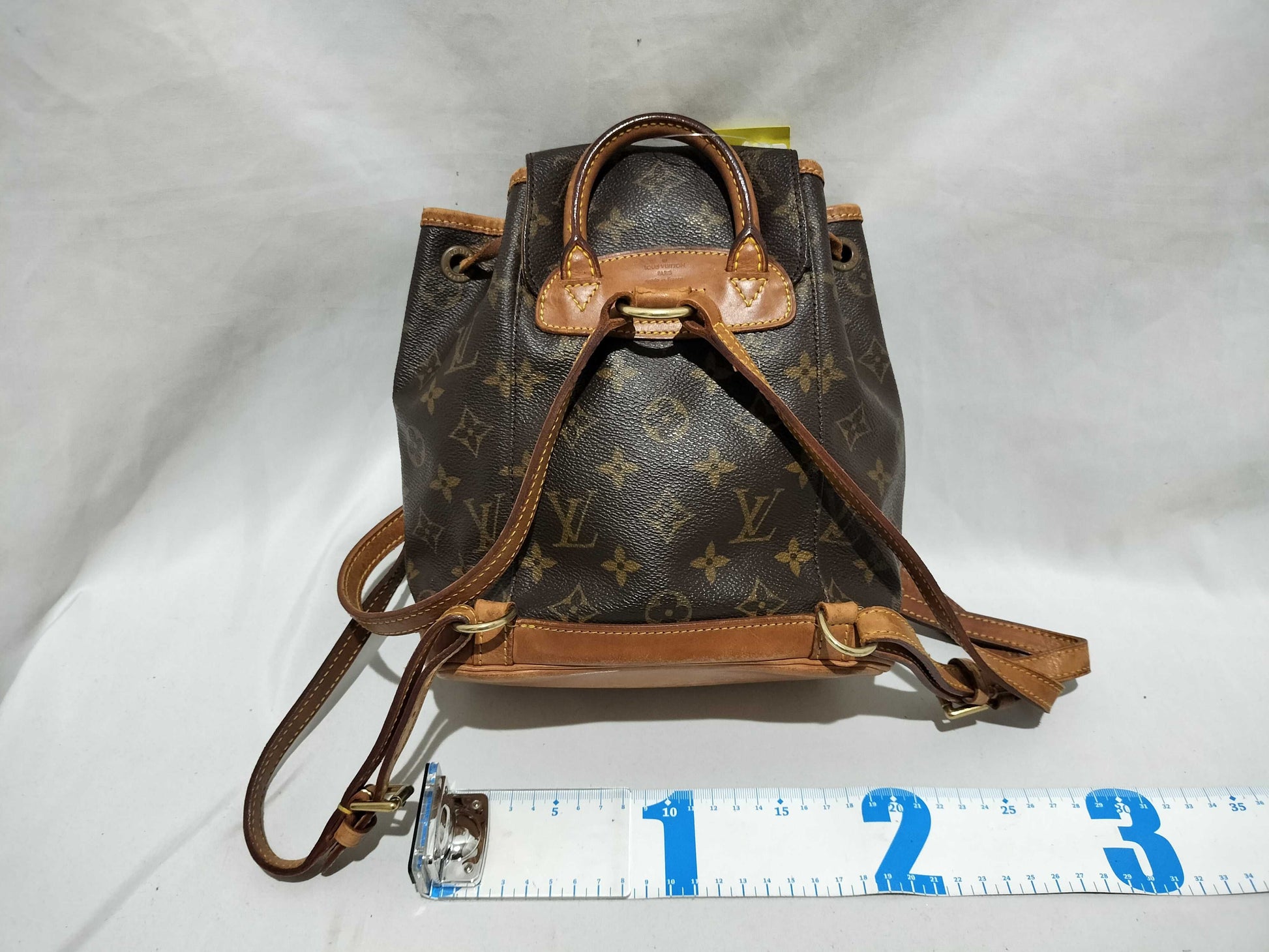 LOUIS VUITTON Monogram Montsouris PM Backpack