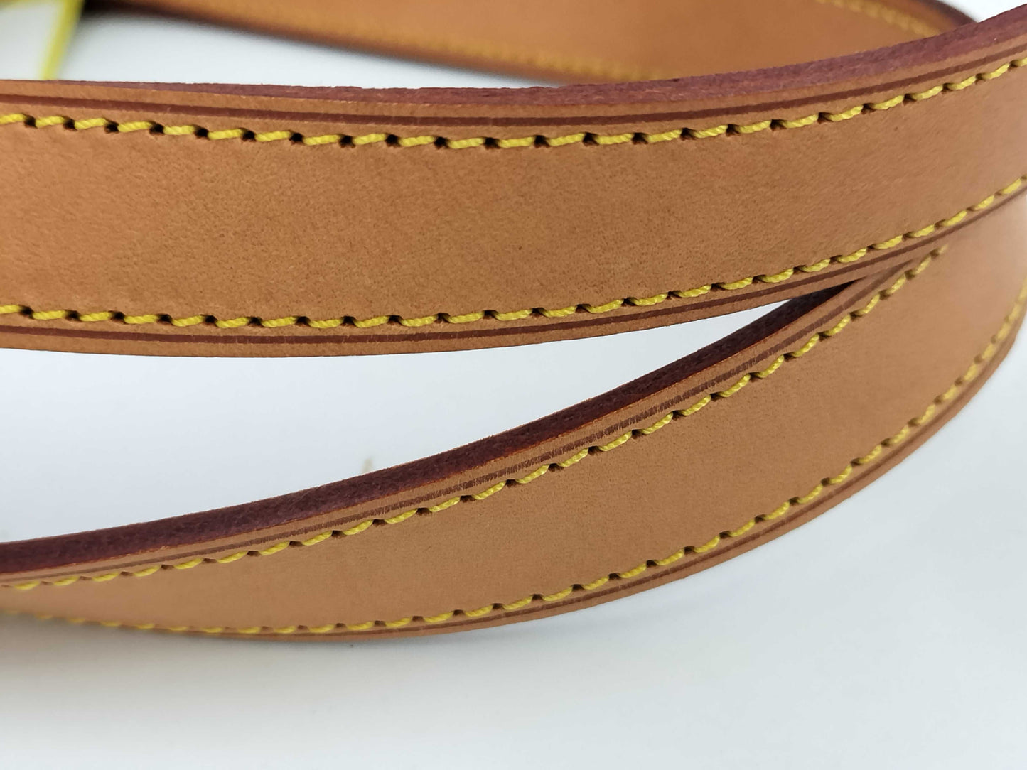 LOUIS VUITTON Vernis Houston Handbag