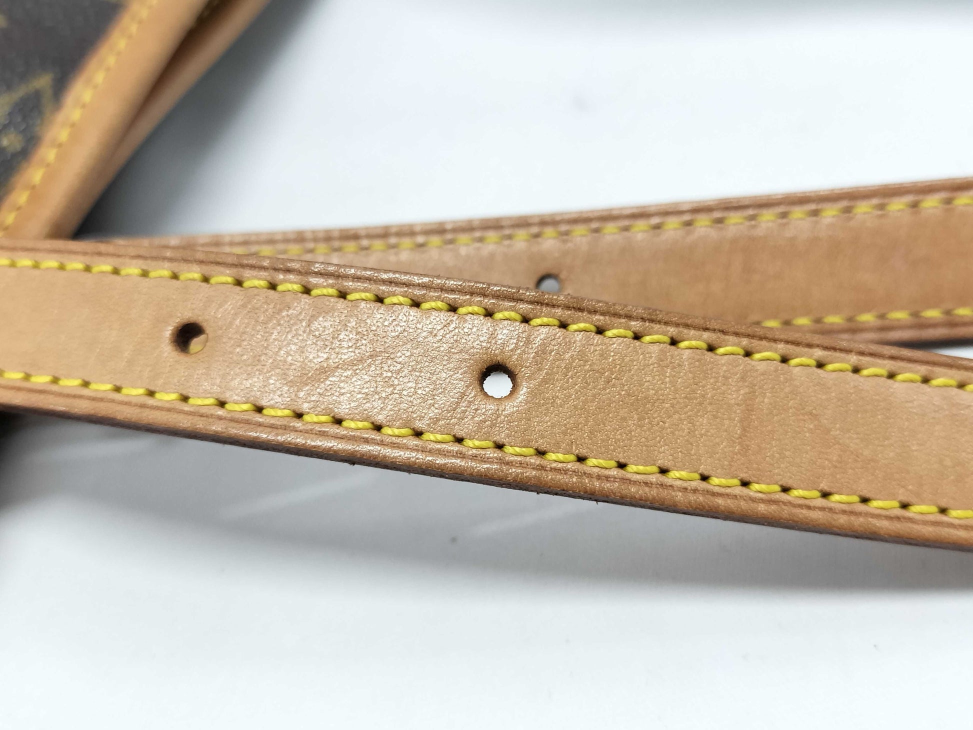 LOUIS VUITTON Monogram Bucket GM with Pouch Medium Degradation Tote Bag