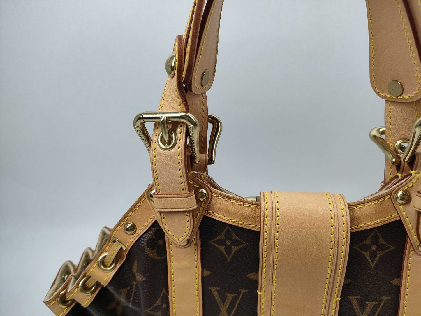 LOUIS VUITTON Monogram Teda PM Handbag