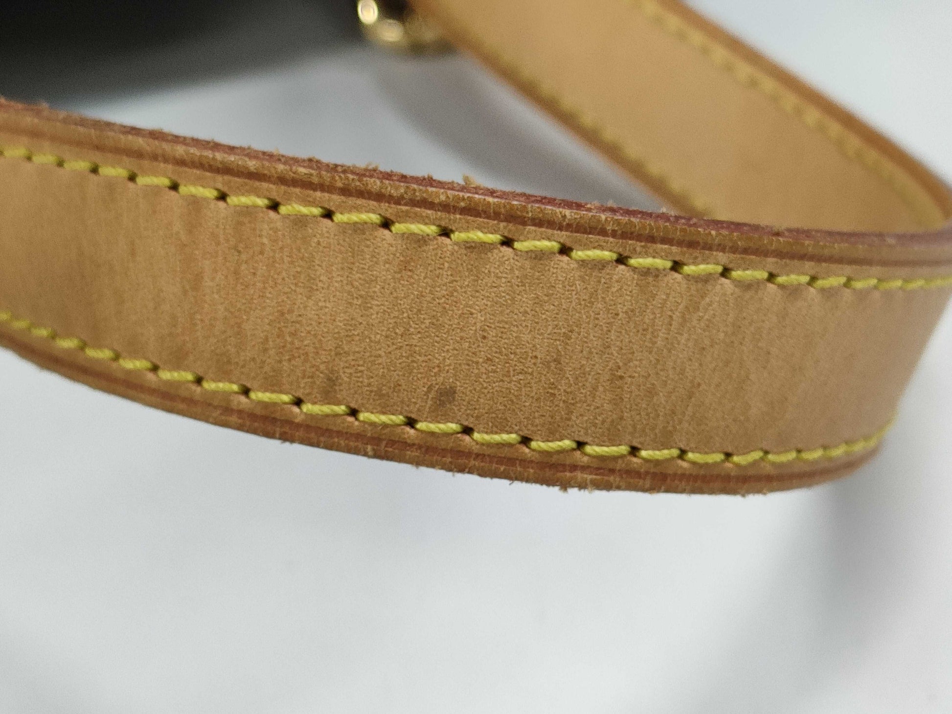 LOUIS VUITTON Verni Rosewood Avenue Handbag