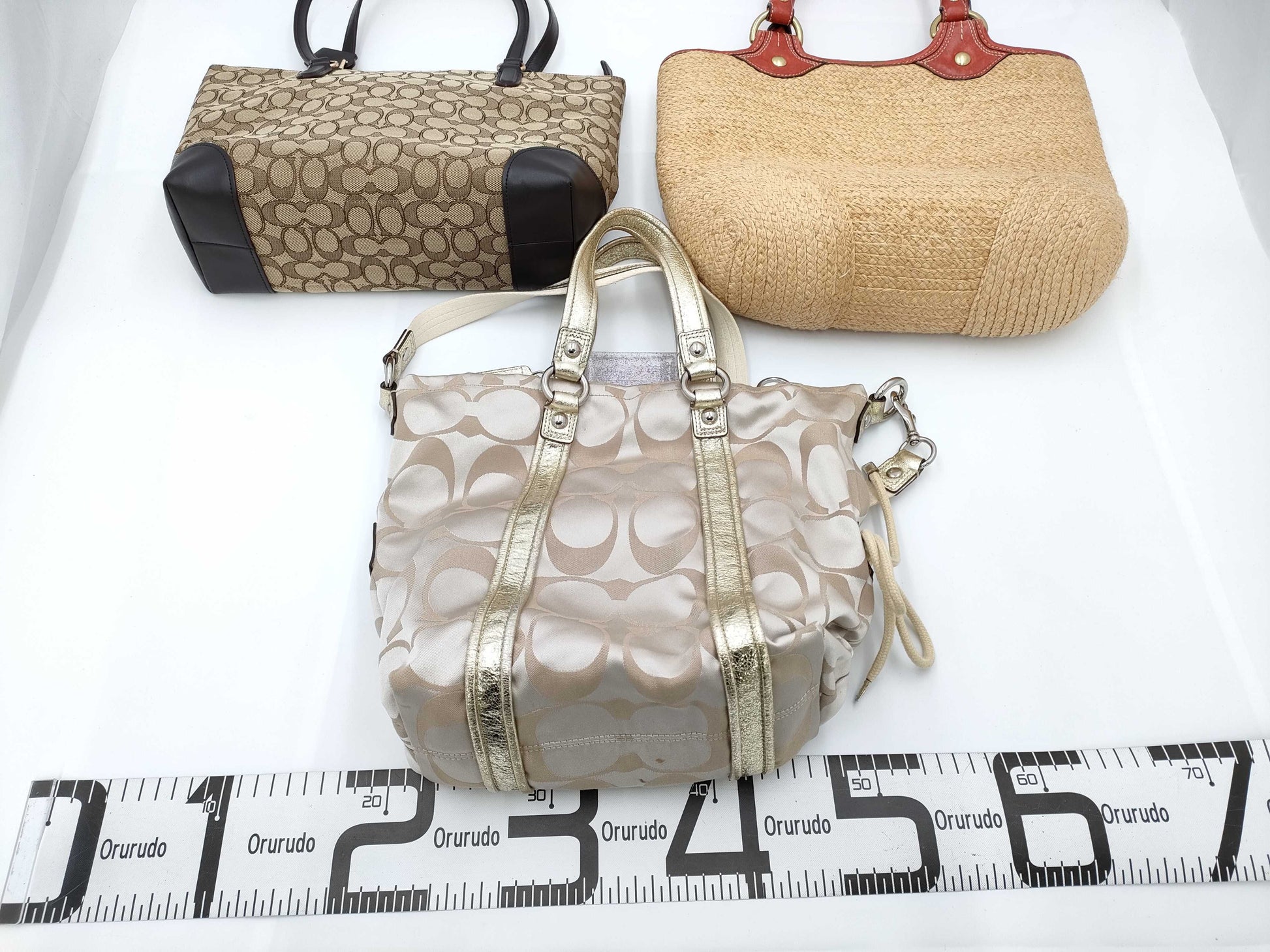 COACH Signature Set Bag