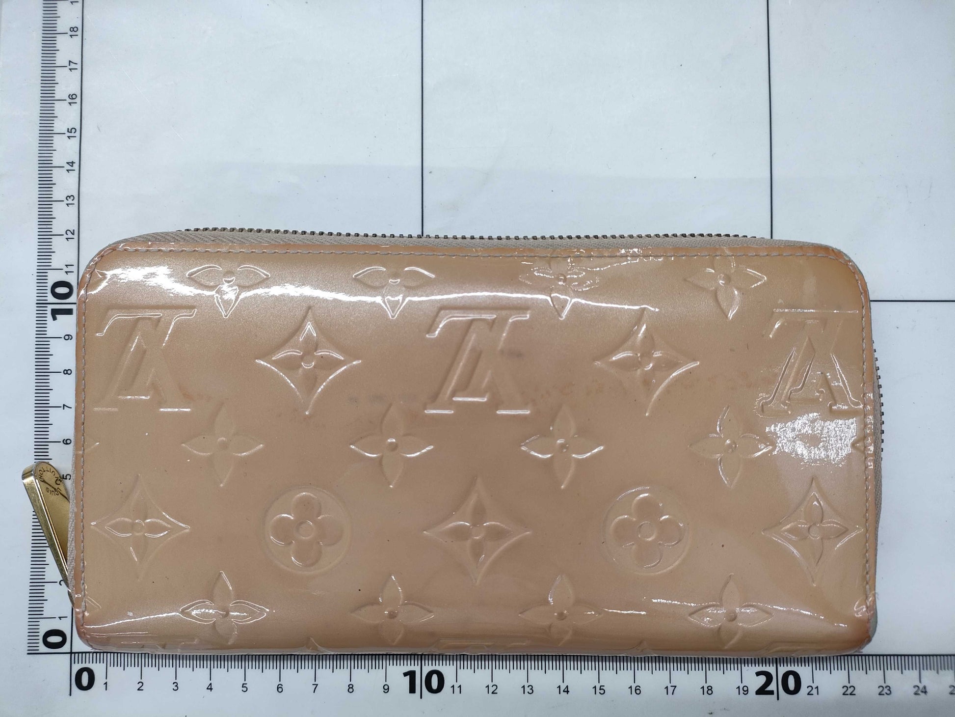 LOUIS VUITTON Verni Zippy Wallet Wallet