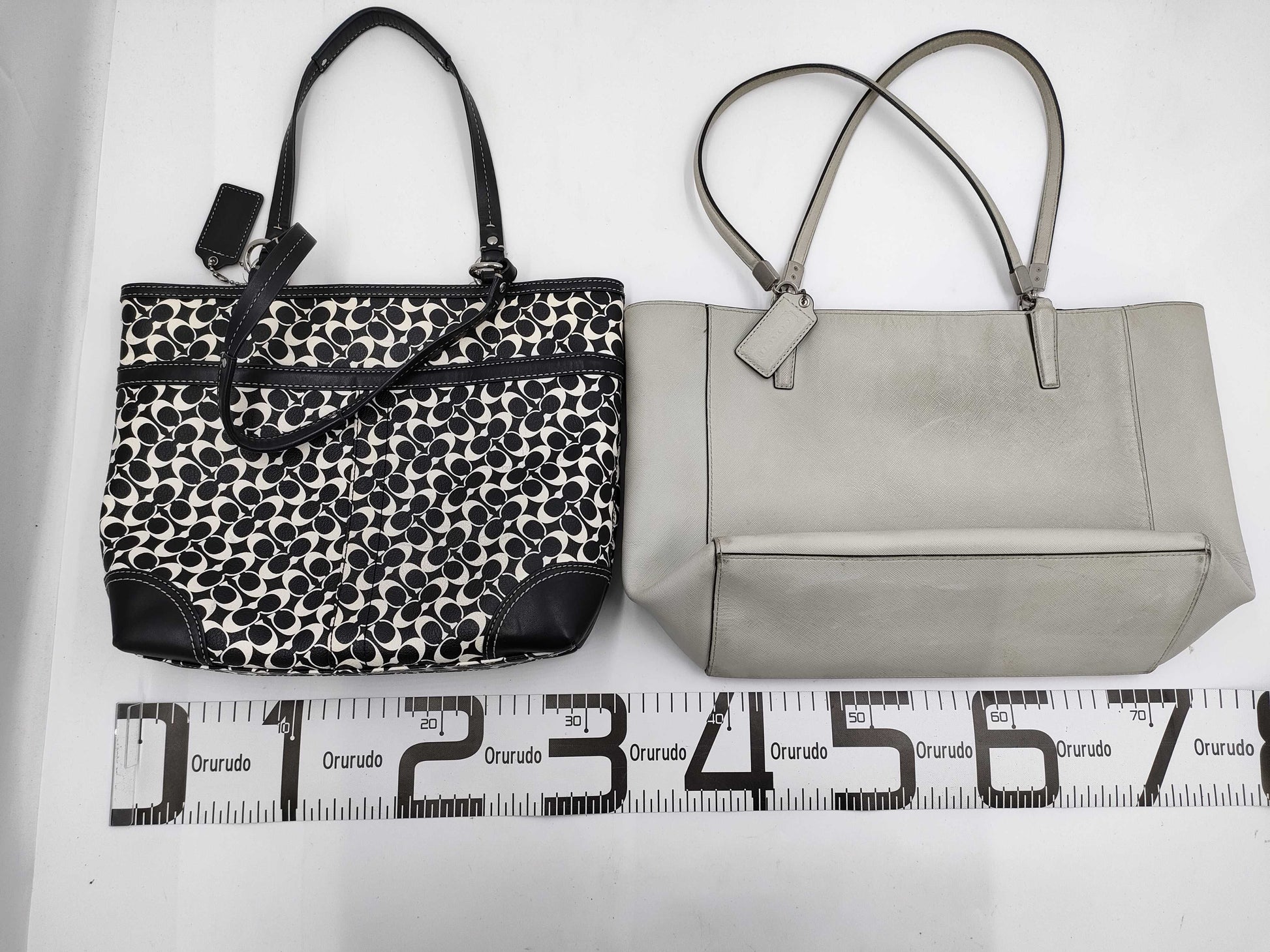 COACH Signature 2-Piece Bag Set