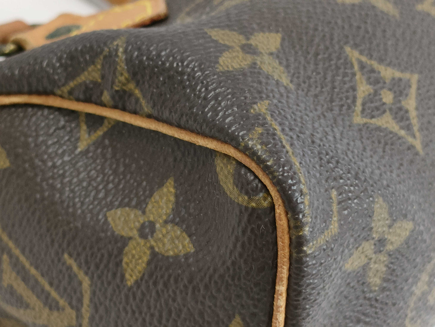 LOUIS VUITTON Monogram Mini Speedy Handbag