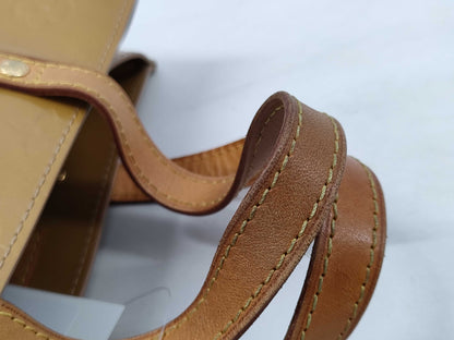 LOUIS VUITTON Vernis Reed PM Handbag