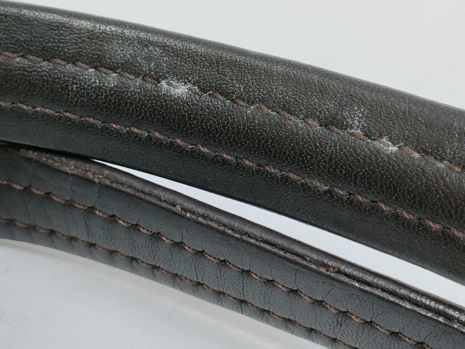 LOUIS VUITTON Damier Sauvage Lion Handbag