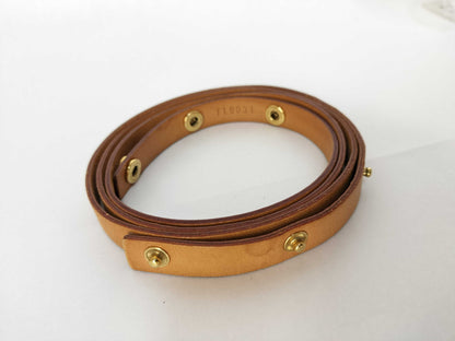 LOUIS VUITTON Monogram M51855 Pochette Florentine Shoulder Bag