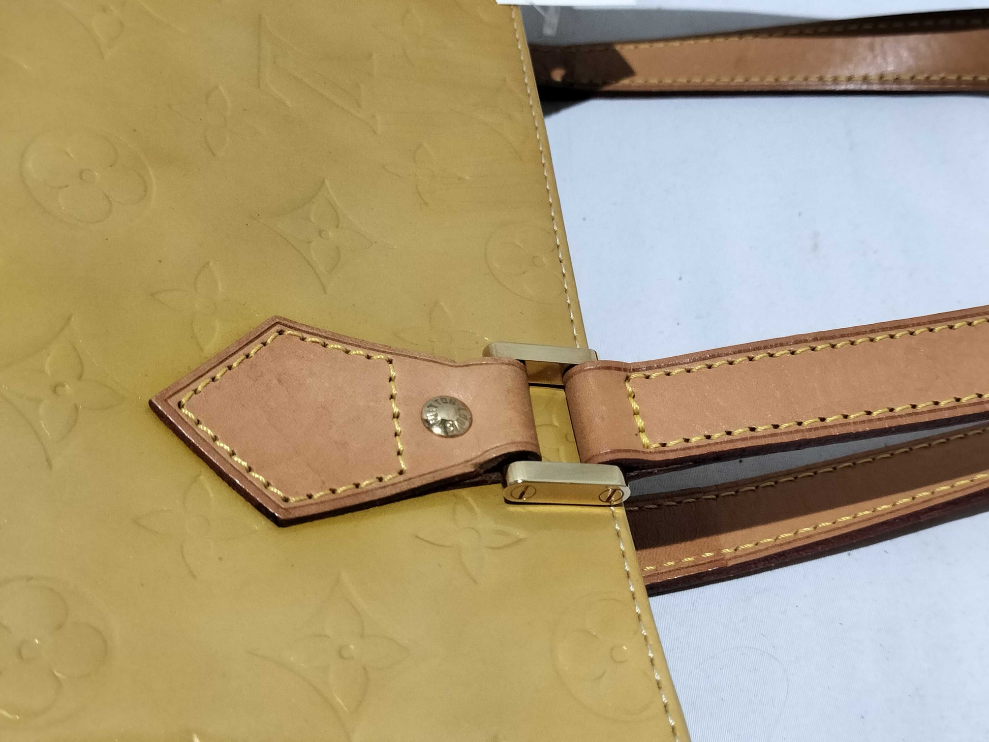 LOUIS VUITTON Verni Houston Handbag