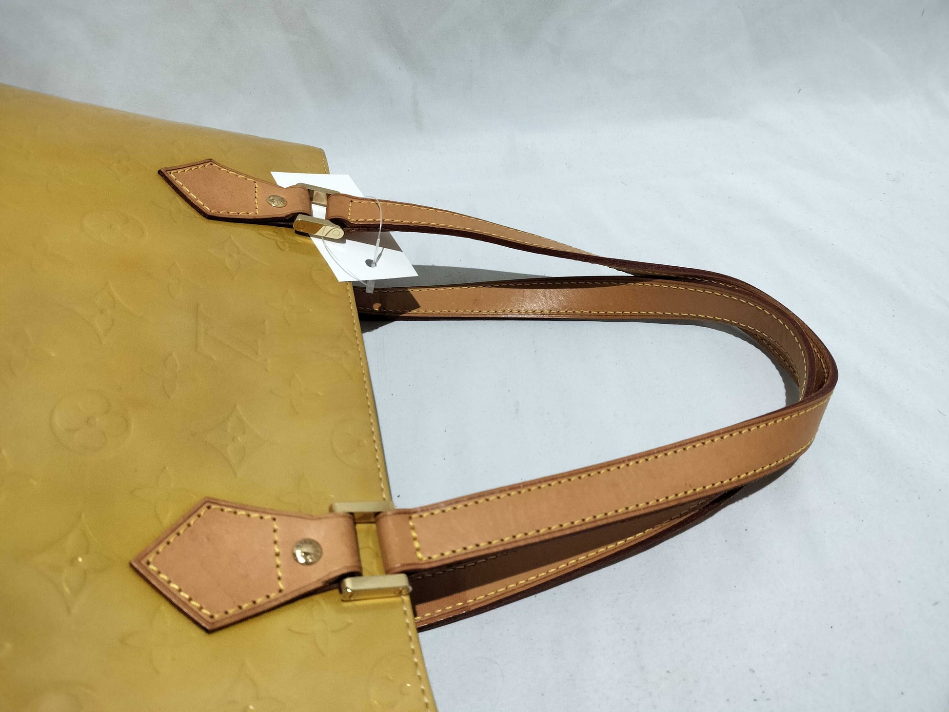 LOUIS VUITTON Verni Houston Handbag