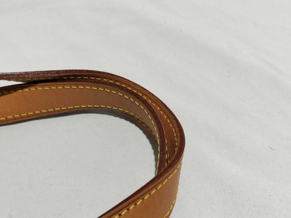 LOUIS VUITTON Verni Houston Handbag