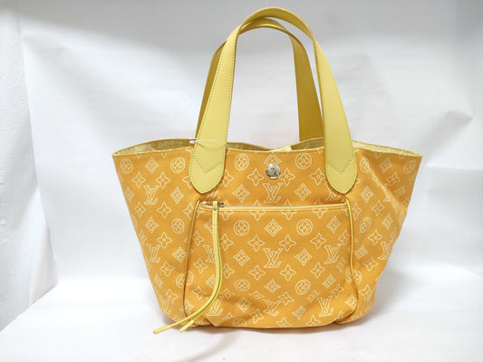 LOUIS VUITTON Beach Hippopotamus Ipanema Tote Bag