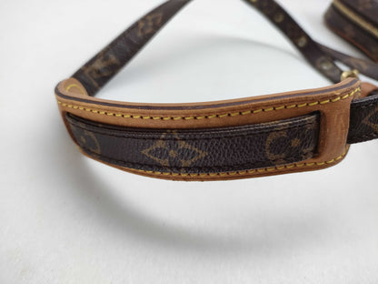 LOUIS VUITTON Monogram M45266 Danube Shoulder Bag