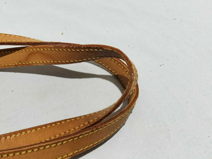 LOUIS VUITTON Monogram Bucket Tote Bag