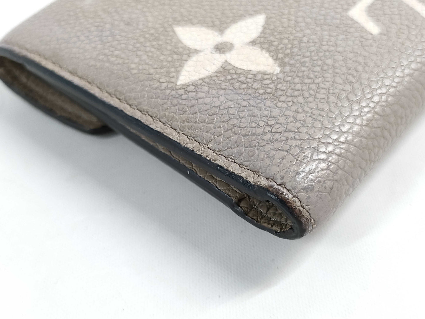 LOUIS VUITTON Unplanted Portefeuille Victorine Wallet