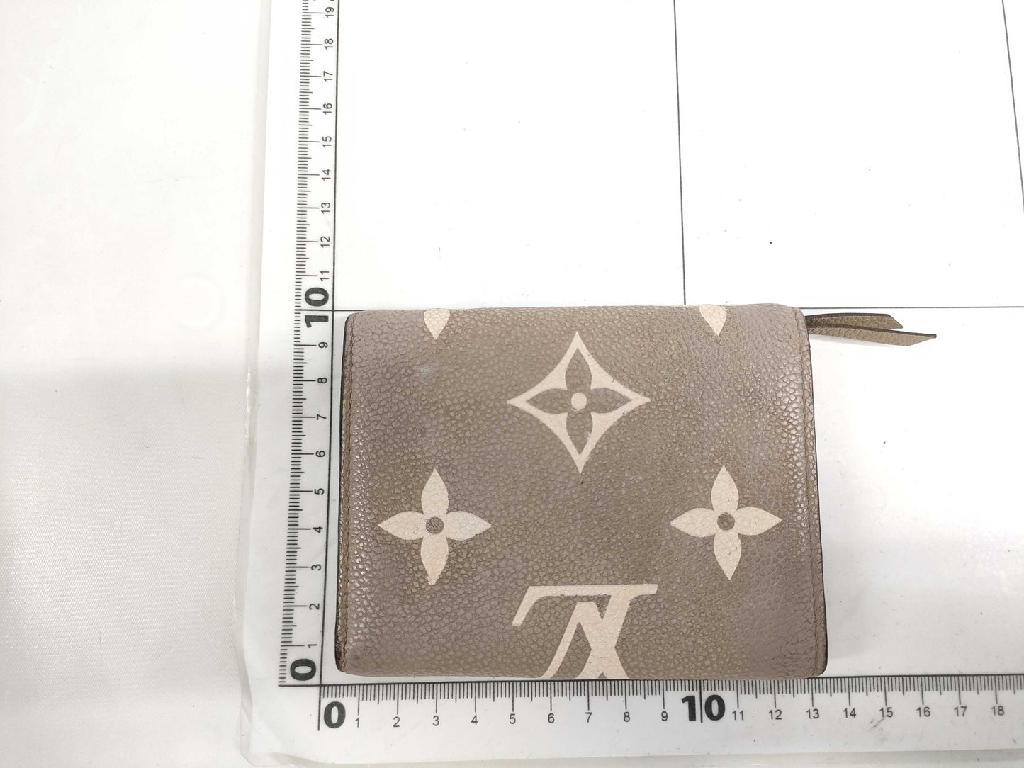 LOUIS VUITTON Unplanted Portefeuille Victorine Wallet