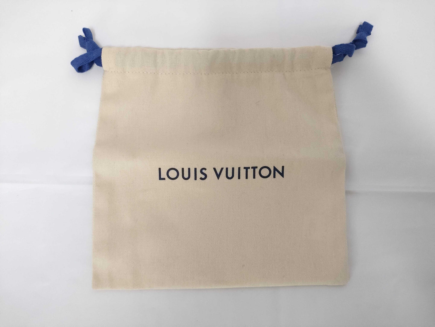 10 Louis Vuitton storage bags and other accessories
