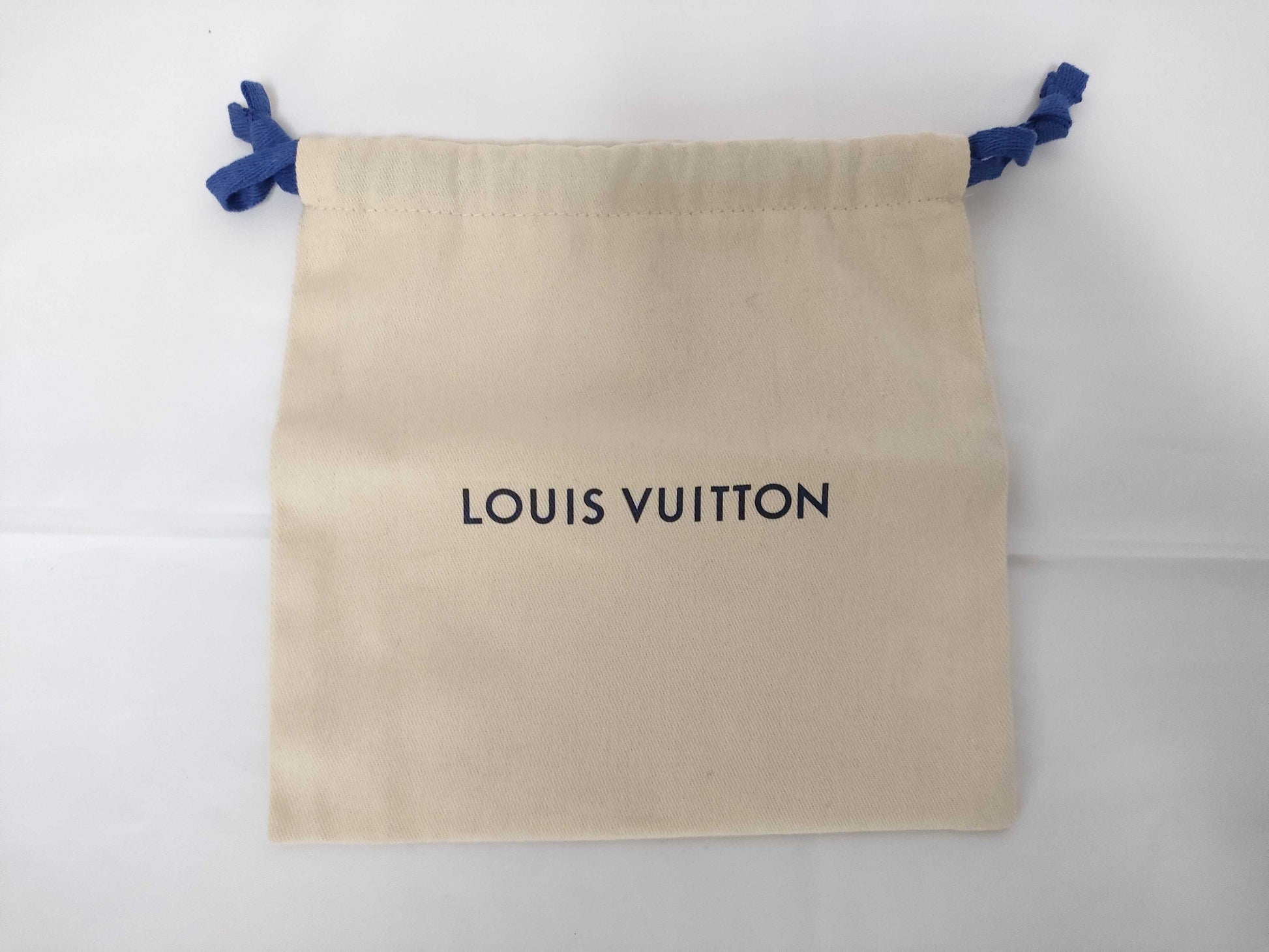 10 Louis Vuitton storage bags and other accessories