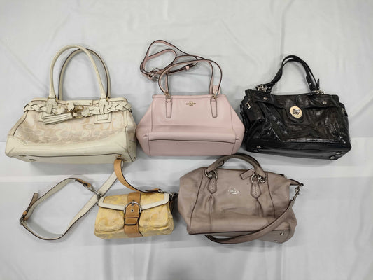 COACH 5-Piece Set Bag