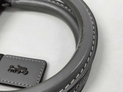 COACH Hand 21036 Handbag