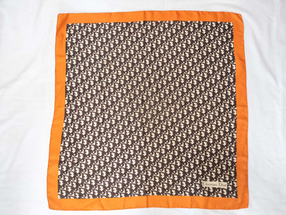 Dior Trotter scarf without tag