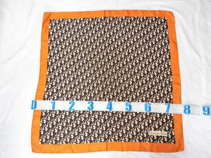 Dior Trotter scarf without tag