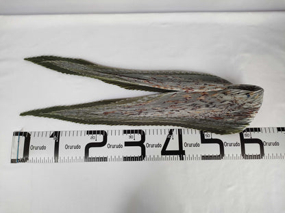 HERMES Green Bird Scarf