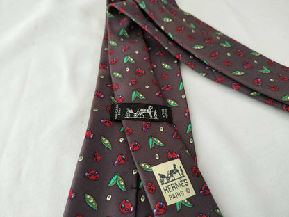 HERMES Tie Tie