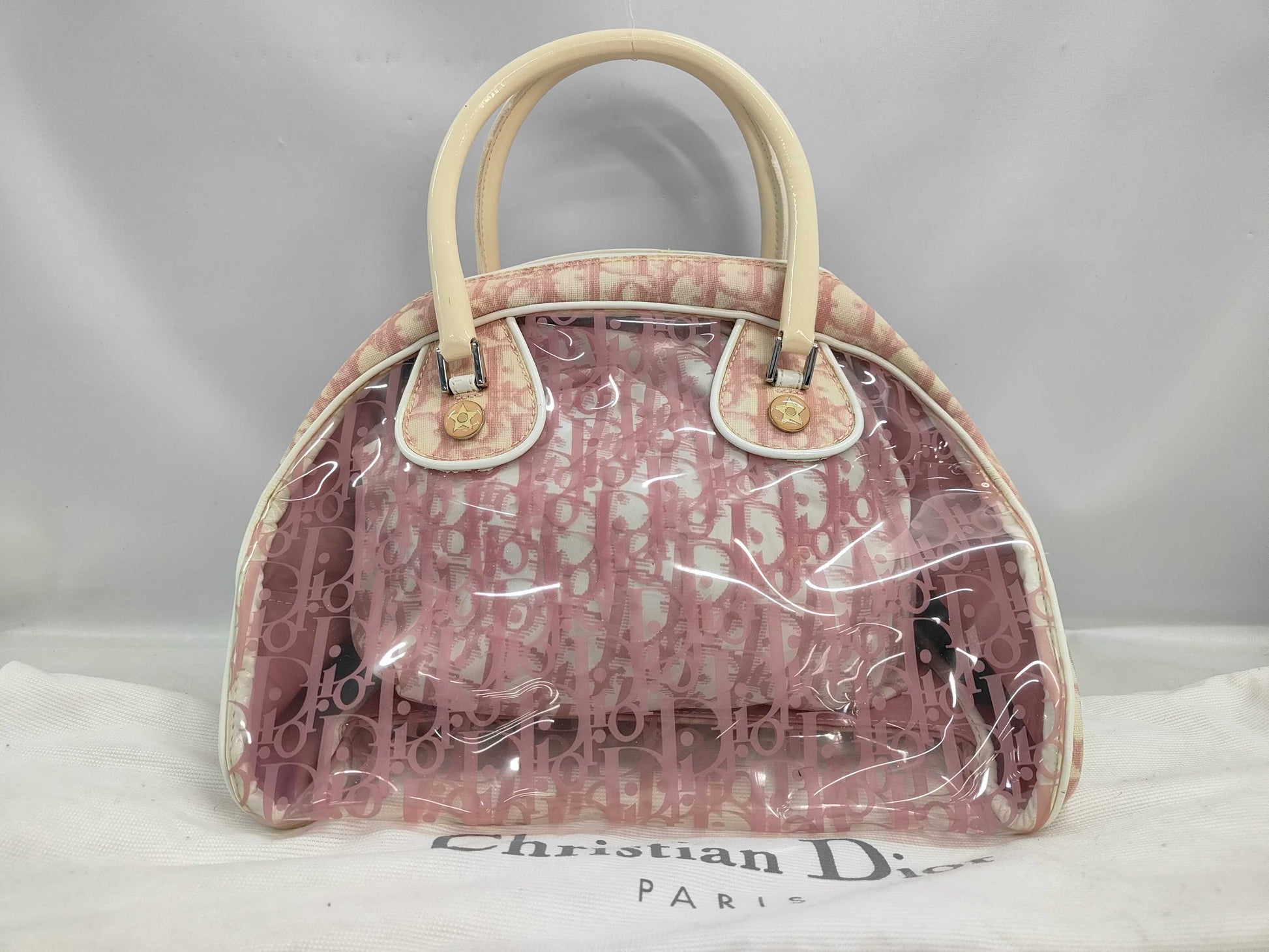 Dior Trotter Clear Bag Pink Handbag