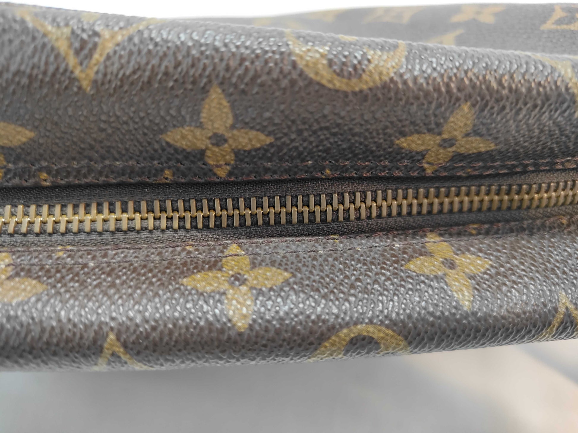 LOUIS VUITTON Monogram True Toilet Pouch