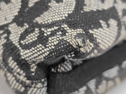 Dior Trotter Pouch Bag Shoulder Bag